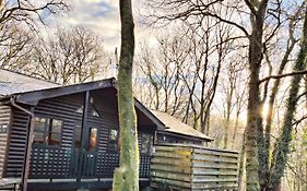 Goldcrest 1-Hot Tub-Woodland Lodges-Carmarthenshire-Tenby